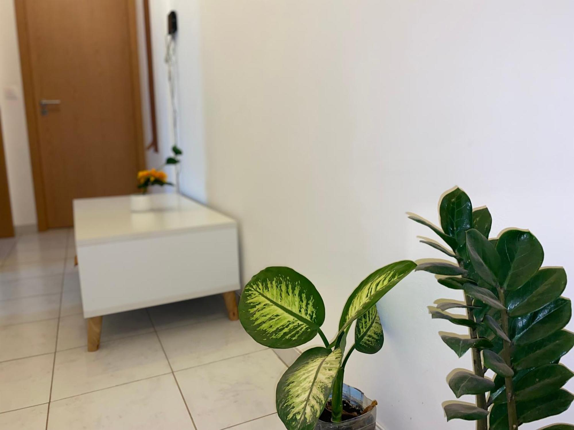 Apartamento T2 Equipado E Aconchegante. Praia Dış mekan fotoğraf